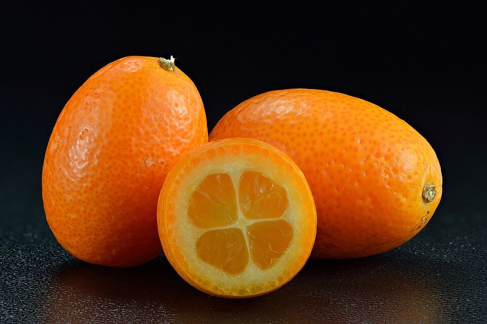 Citrus Japonica Seeds for Planting