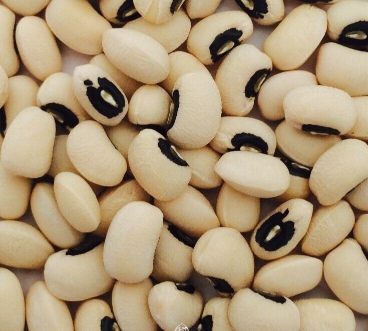 Black-Eyed Pea Seeds for Planting — Image 31