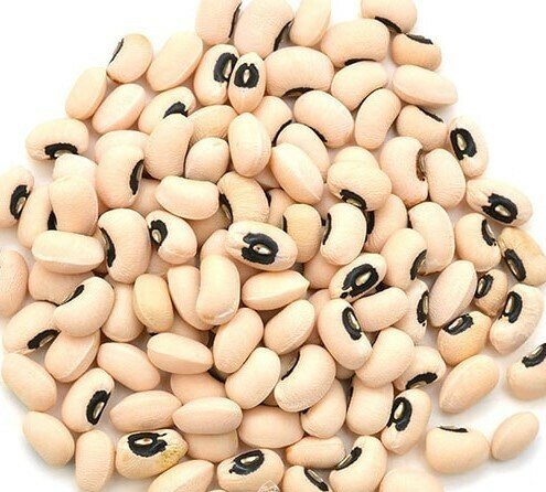 Black-Eyed Pea Seeds for Planting — Image 71