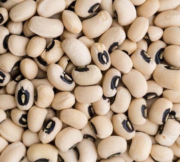 Black-Eyed Pea Seeds for Planting — Image 81