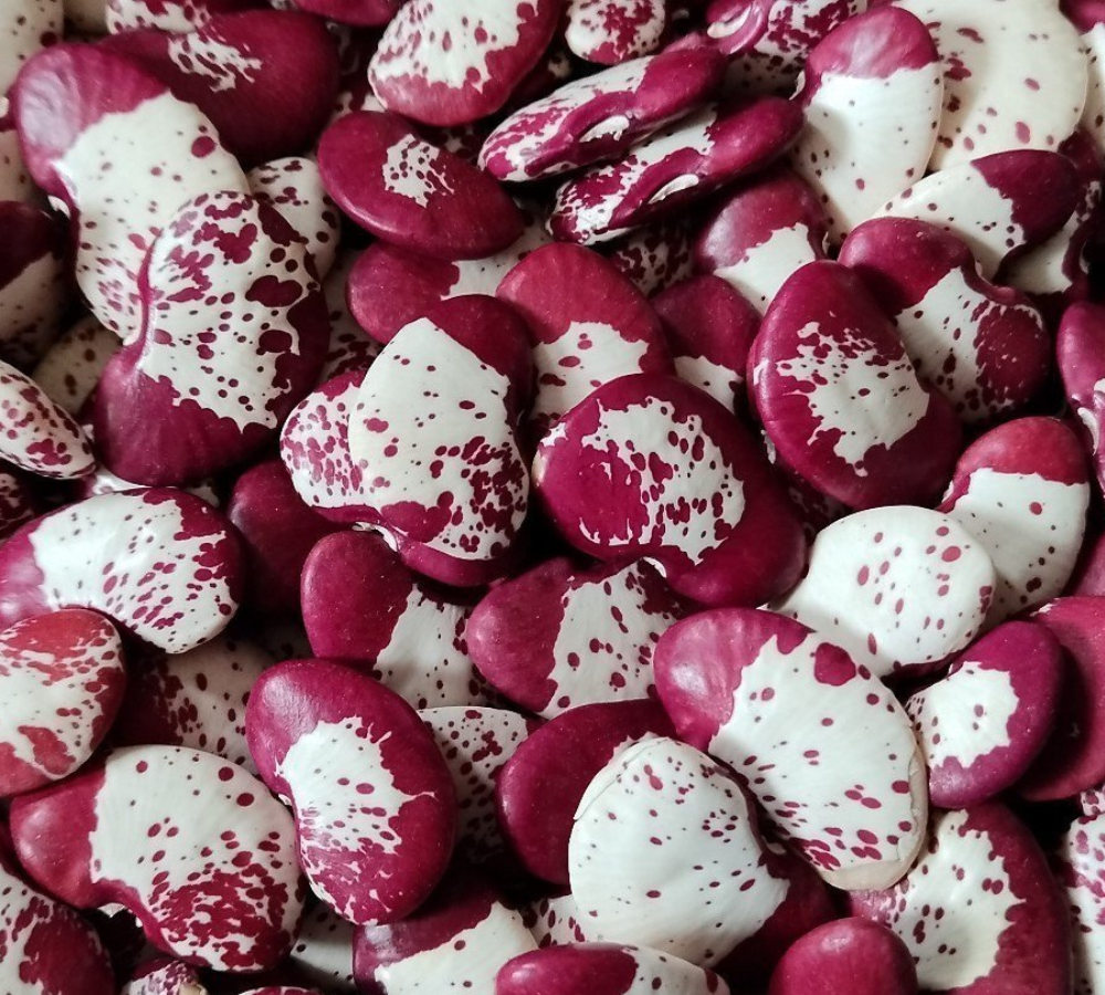 Lima beans