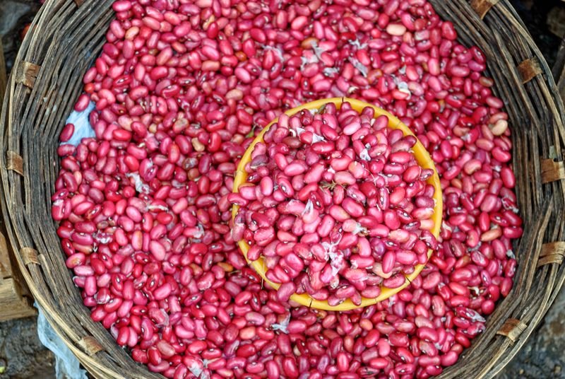 Kashmiri Cranberry Bean Seeds for Planting